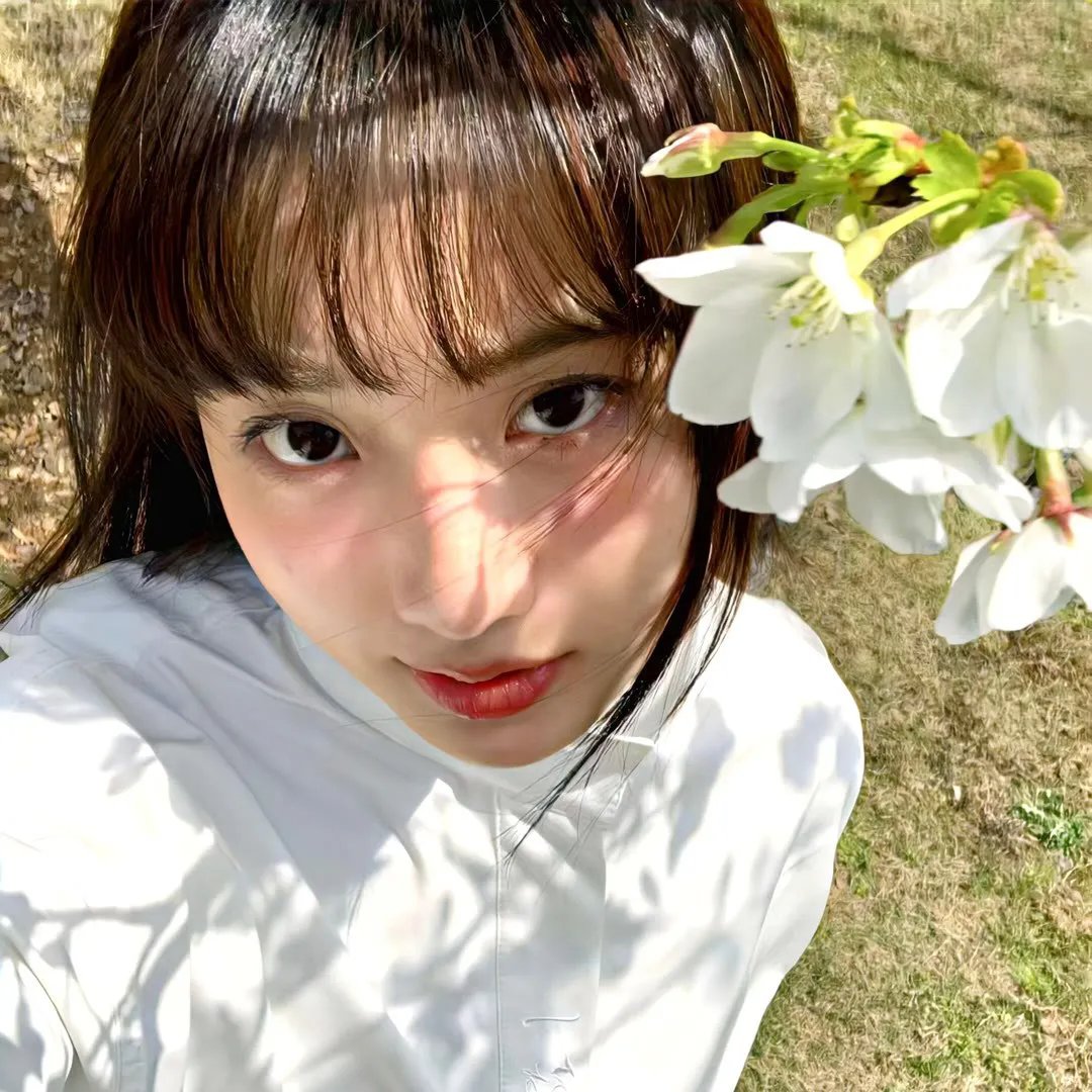 冰原小恐龙