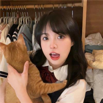 小鸡